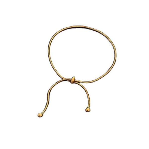 Wholesale New Titanium Steel Women's Anklet Adjustable Chain Gold Fashion Ladies Stainless Steel Jewelry