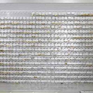 Trendy Epoxy Resin Butterfly Drop Earrings 13mm*16mm Stainless Steel 18K Gold Plated for Women