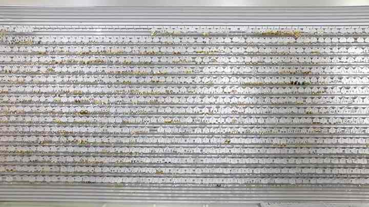 Trendy Epoxy Resin Butterfly Drop Earrings 13mm*16mm Stainless Steel 18K Gold Plated for Women