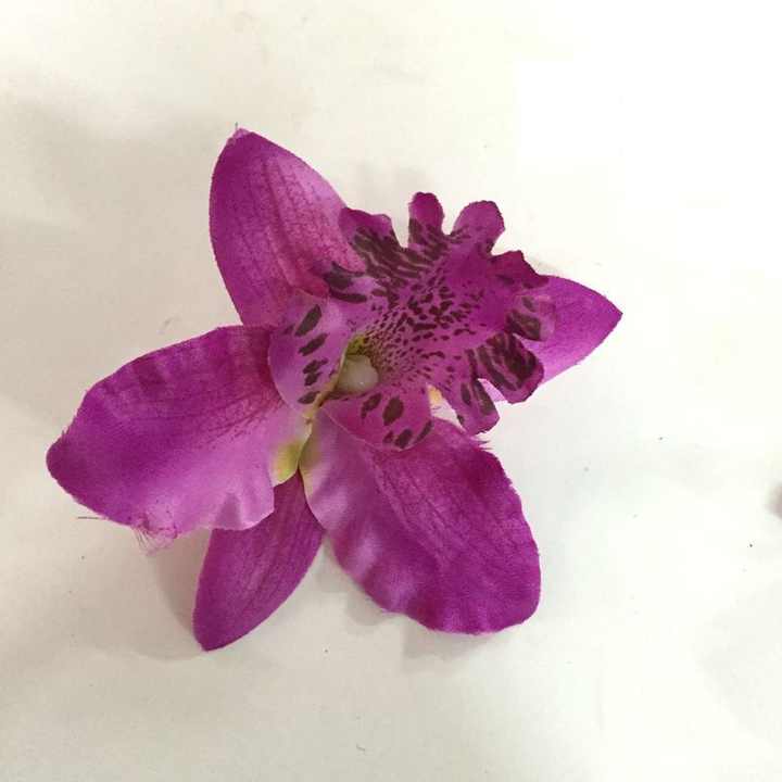 Hawaiian Heaven Bird Foam Floral Hair Clip Artificial Island Eva Tiara Frangipani Plumerial Hibiscus Spider Lily Haku Headband