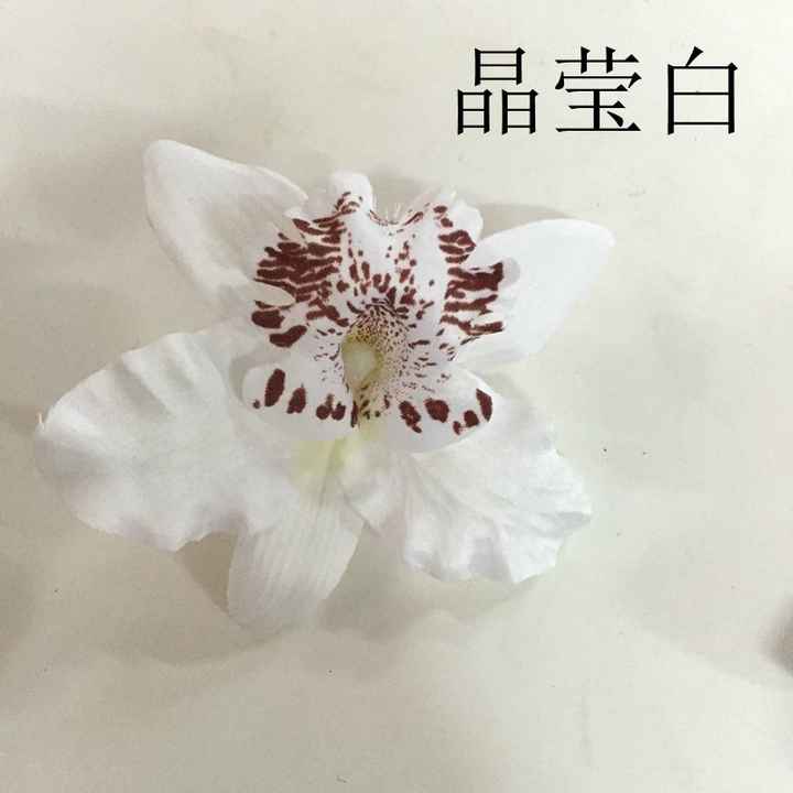 Hawaiian Heaven Bird Foam Floral Hair Clip Artificial Island Eva Tiara Frangipani Plumerial Hibiscus Spider Lily Haku Headband