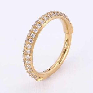 Titanium Pvd Piercing Clicker Paved Two Row Cz Outer Side Titanium Piercing Ring G23 Titanium Segment Zircon