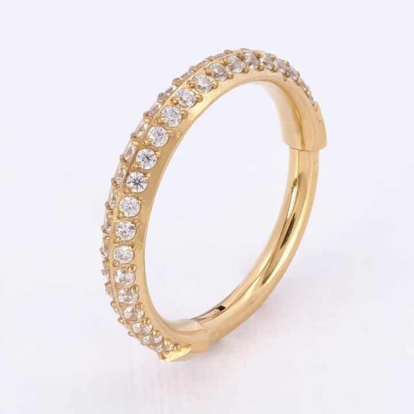 Titanium Pvd Piercing Clicker Paved Two Row Cz Outer Side Titanium Piercing Ring G23 Titanium Segment Zircon