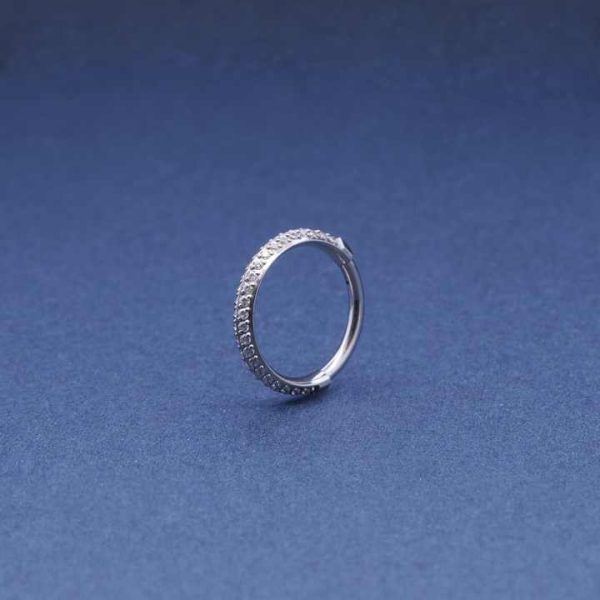 Titanium Pvd Piercing Clicker Paved Two Row Cz Outer Side Titanium Piercing Ring G23 Titanium Segment Zircon