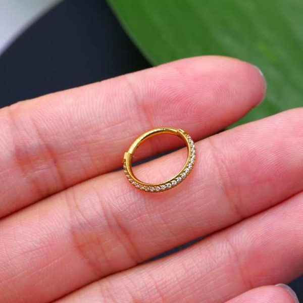 Titanium Pvd Piercing Clicker Paved Two Row Cz Outer Side Titanium Piercing Ring G23 Titanium Segment Zircon