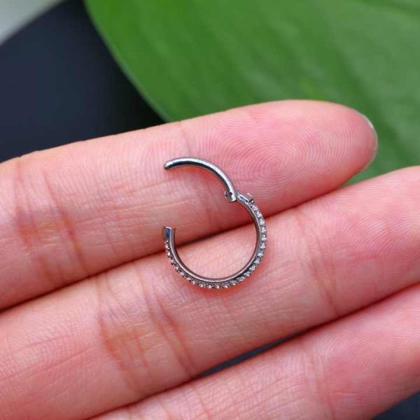 Titanium Pvd Piercing Clicker Paved Two Row Cz Outer Side Titanium Piercing Ring G23 Titanium Segment Zircon