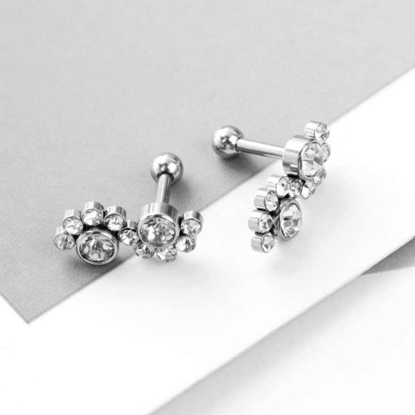 2024 New Zircon Earrings Lip Nails Body Piercing Jewelry Online Wholesale