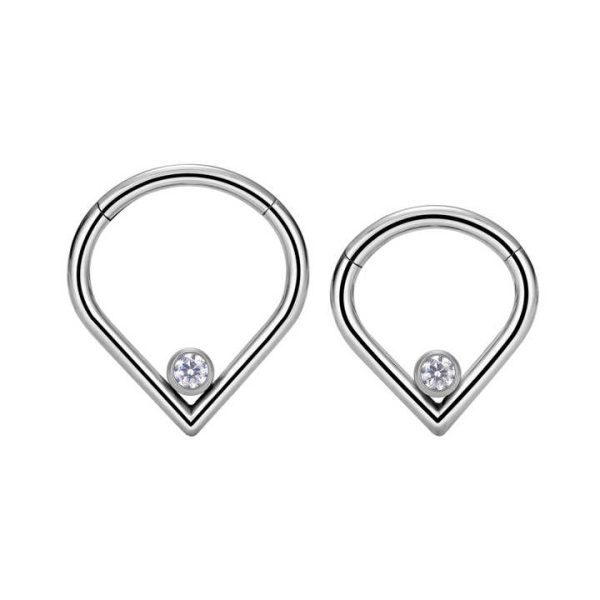 Hot Sale G23 Titanium 16G Heart Shaped Zirconia Inlay Hinged Segment Septum Nose Ring Ear Cartilage Helix Body Piercing Jewelry