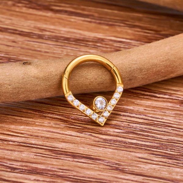 Hot Sale G23 Titanium 16G Heart Shaped Zirconia Inlay Hinged Segment Septum Nose Ring Ear Cartilage Helix Body Piercing Jewelry
