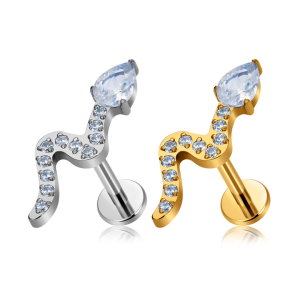 G23 ASTM F136 Titanium Snake Shape Nose Stud Earrings Zircon Inlay Labret Piercing 16G Ear Stud Ear Tragus Body Piercing Jewelry