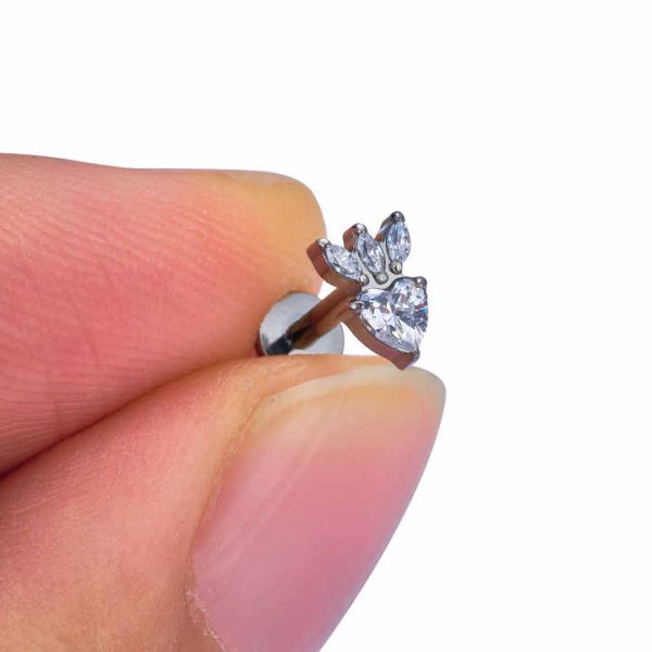 G23 ASTM F136 Titanium Spinosaurus Coconut Goldfish Shape Nose Stud Earrings Zircon Inlay Labret Tragus Body Piercing Jewelry