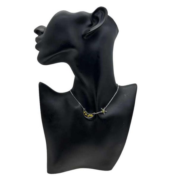 Hot Selling Clear Epoxy Jewelry Half Moon and Star Pendant Real Dried Flower Handmade Necklace for Women