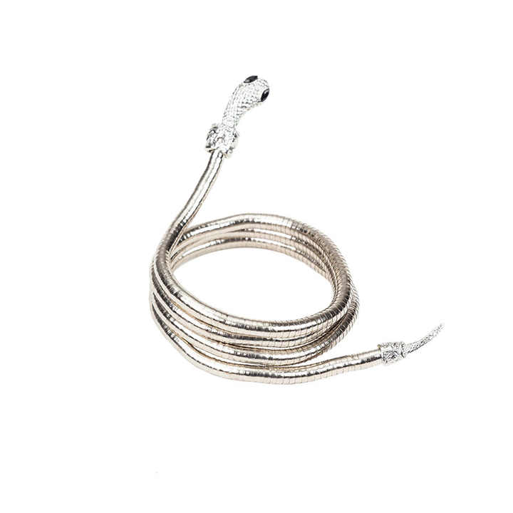 Star Aliexpress Alloy Wrapped Serpentine Necklace European and American Ins Hop Niche Design Sense Spice Dark Collar